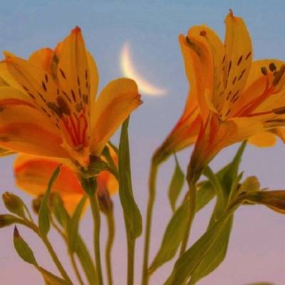 半岛·体育官网下载